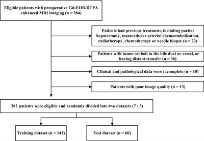 A Potential Prognostic Marker for Recognizing VEGF-Positive Hepatocellular Carcinoma Based on Magnetic Resonance Radiomics Signature